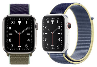 Apple Watch Series 5 (Edition, US/CA, 40 mm) Specs (Watch Series 5 