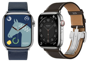 Apple Watch Series 8 (Hermes, Global, 45 mm) Specs (Watch Series 8 