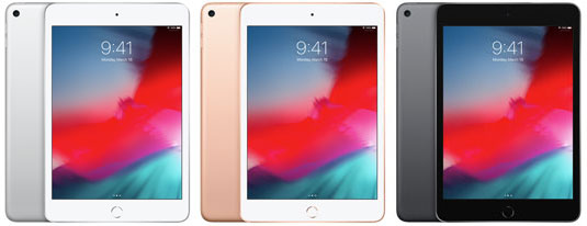 iPad mini 5th Gen Color Options